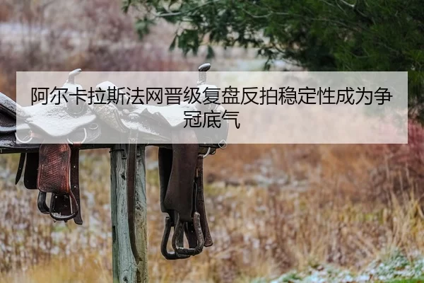 a-er-ka-la-si-fa-wang-jin-ji-fu-pan-fan-pai-wen-ding-xing-cheng-wei-zheng-guan-di-qi-2-830.jpg